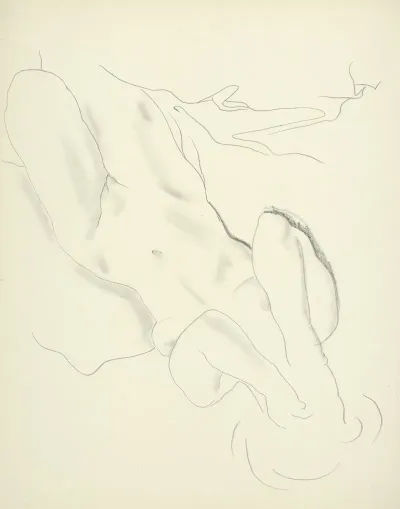 Studijny Akt Ii