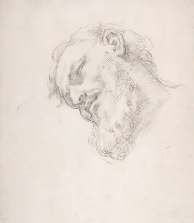 Study For A Head Of A Man