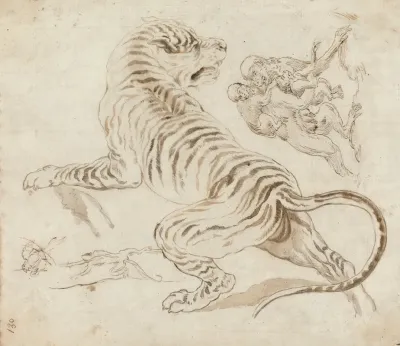 Study For A Tiger And Monkeys