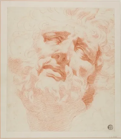 Study For Head Of Laocoon
