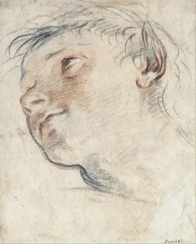 Study For The Head Of A Faun