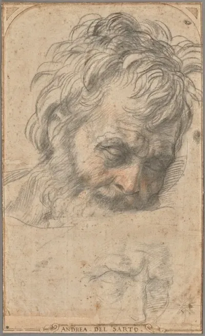 Study For The Head Of Saint Joseph