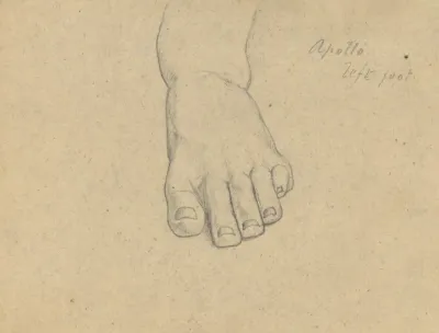 Study For The Judgment Of Jupiter Apollo Left Foot