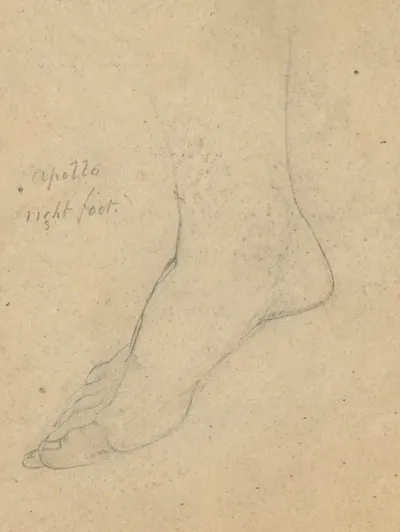 Study For The Judgment Of Jupiter Apollo Right Foot