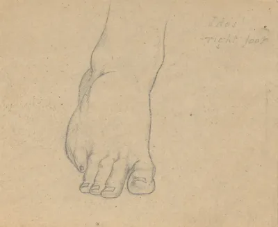 Study For The Judgment Of Jupiter Idas Right Foot