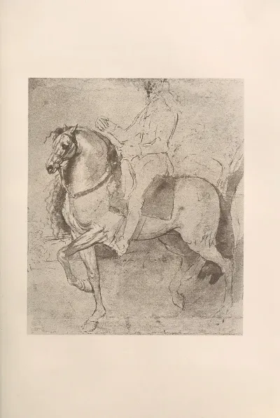 Study For The Portrait Of Charles I