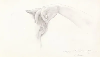 Study For Thermaie Antoniniane