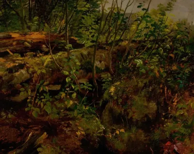 Study From Nature 2