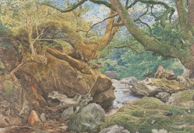 Study From Nature Inveruglas