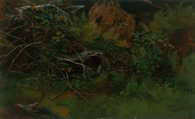 Study From Nature