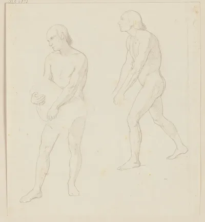 Study From The Nude