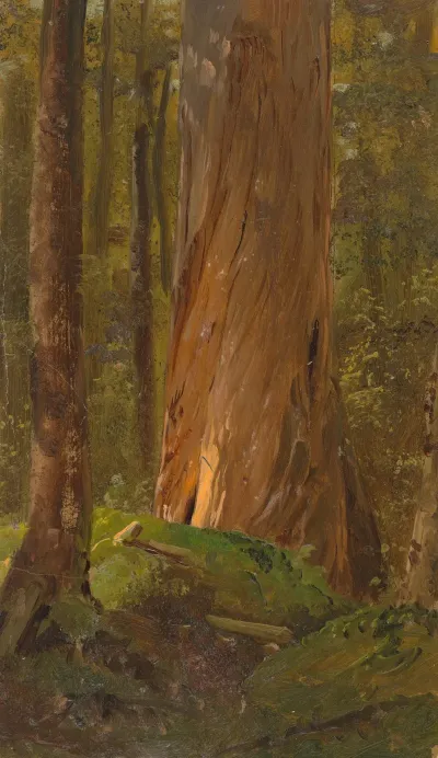 Study In The Maine Woods