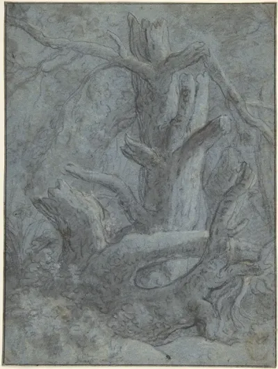 Study Of A Blasted Tree Trunk And Branches