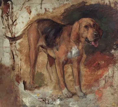 Study Of A Bloodhound