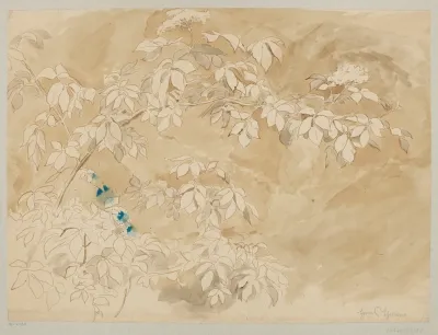 Study Of A Branch