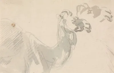 Study Of A Camel 2