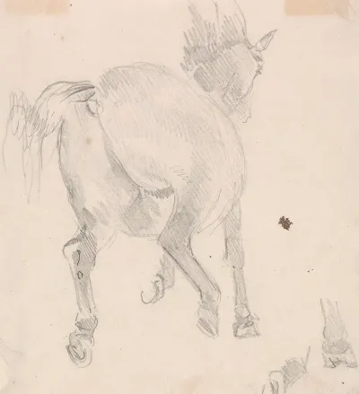 Study Of A Cantering Horse