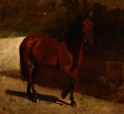 Study Of A Chestnut Horse