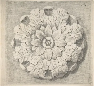 Study Of A Classical Rosette