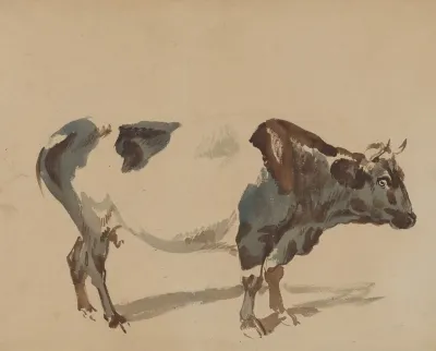 Study Of A Cow 4