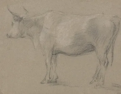 Study Of A Cow 5