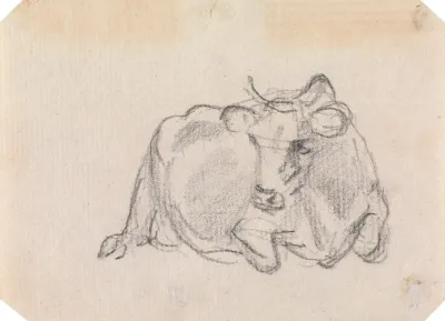 Study Of A Cow 6