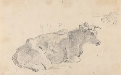 Study Of A Cow Lying Down And Facing Right