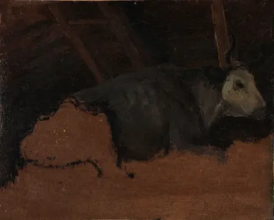 Study Of A Cow