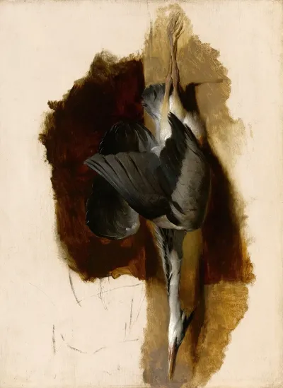 Study Of A Dead Heron