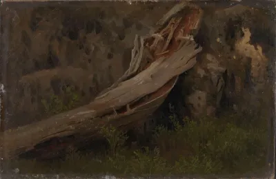 Study Of A Decaying Trunk