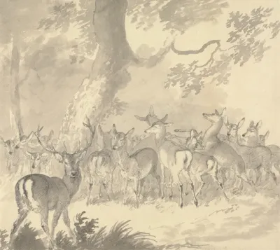 Study Of A Deer Stag In Foreground With A Group Of Does And Fawns Under A Tree