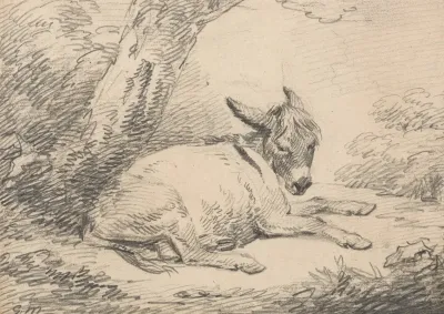 Study Of A Donkey Under A Tree