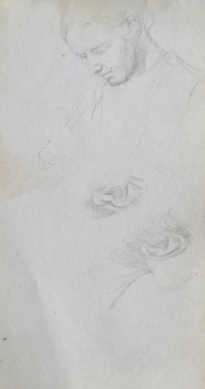 Study Of A Face Ears