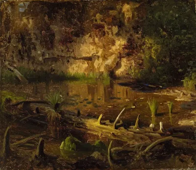 Study Of A Fallen Tree