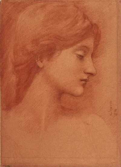 Study Of A Female Head 2