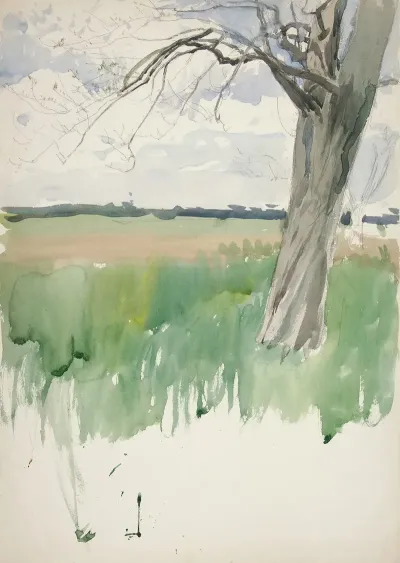 Study Of A Field And Tree