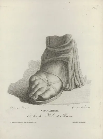 Study Of A Foot In A Sandal