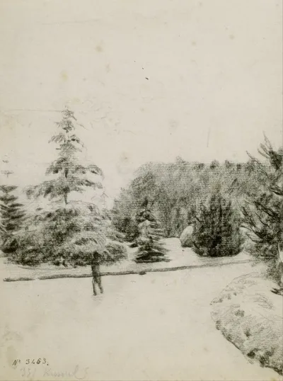 Study Of A Garden