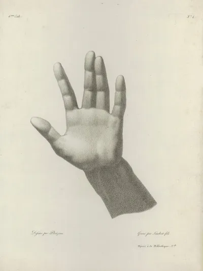 Study Of A Hand 20