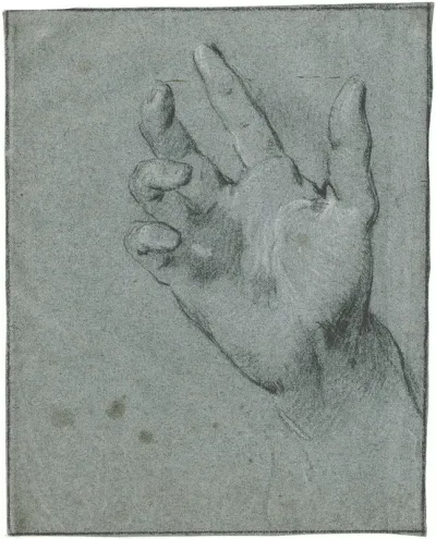 Study Of A Hand 7