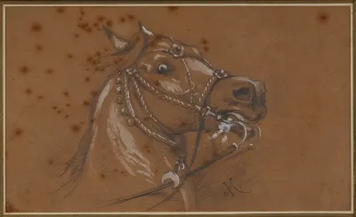 Study Of A Harnessed Horse Head