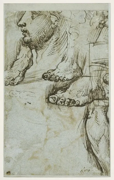 Study Of A Head In Profile Three Feet And A Lower Leg