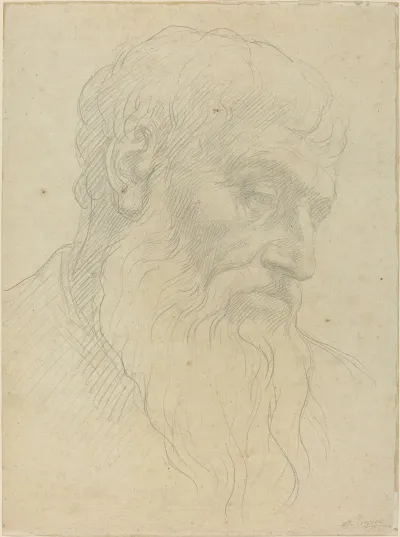 Study Of A Head