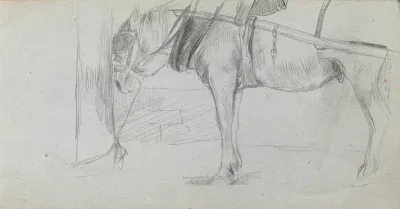 Study Of A Horse 2