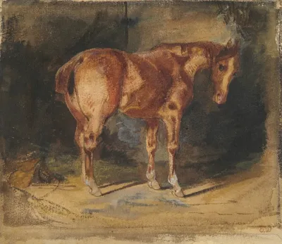 Study Of A Horse 5