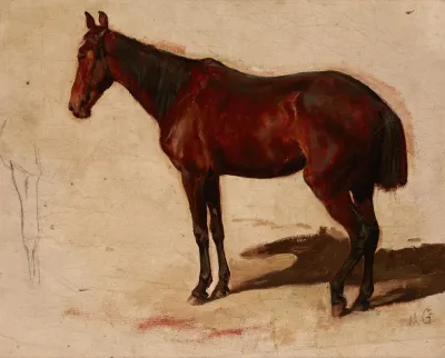 Study Of A Horse 6