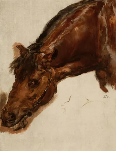 Study Of A Horse Head