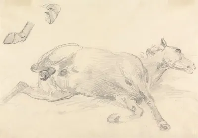 Study Of A Horse Lying Down