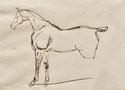 Study Of A Horse