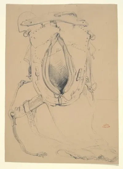 Study Of A Horses Harness